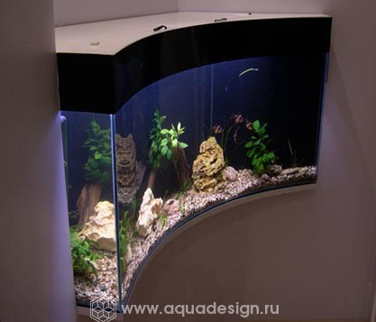 встроенный аквариум