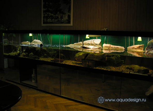 Рифовый морской аквариум