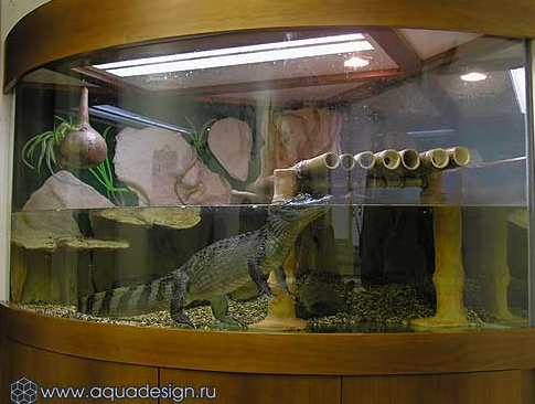 Отдельно стоящий морской аквариум
