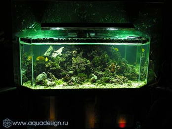 Аквасистема «A priori» 700л