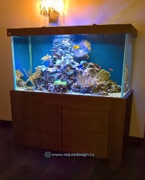 Аквариум морской 620л