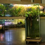 AquaDesign_Office