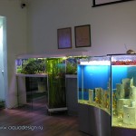 AquaDesign_Office_12