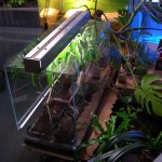 AquaDesign_Office_4