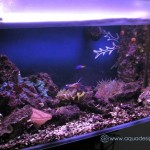 AquaDesign_Office_5