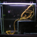 AquaDesign_Office_9