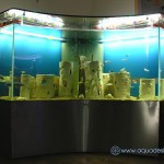 Морской аквариум купить в Москве