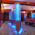 Эксклюзивный аквариум – аквариум на просвет