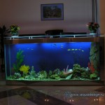 photogallery020