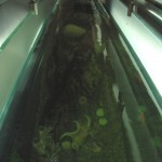 photogallery021