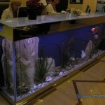 photogallery022