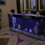 photogallery023