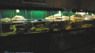 photogallery036