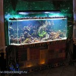 photogallery054