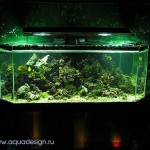 photogallery055