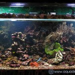 photogallery056