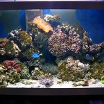 photogallery059