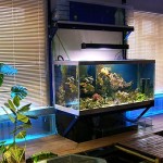 photogallery060