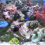 photogallery061