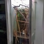 Акватеррариум «Бахчисарайский фонтан»